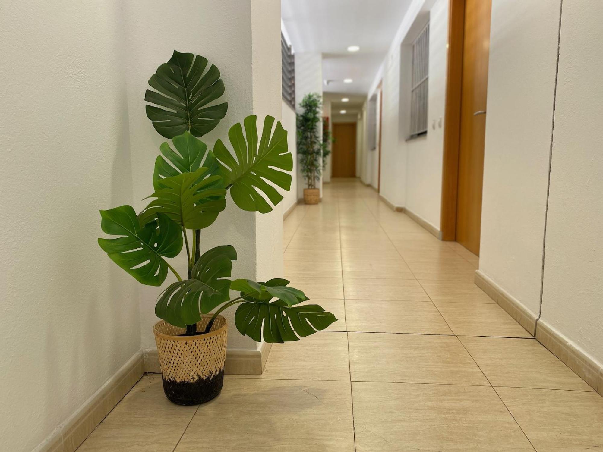 Brava Appartement Lloret de Mar